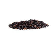 Load image into Gallery viewer, Elderberry - Sambucus Nigra